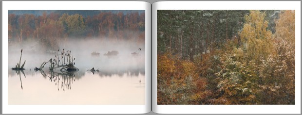 PDF-Buch-Entwurf-Ansichtsexemplar 30 Jahre Naturpark_page23_image19