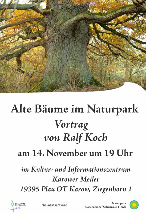 Plakat_Vortrag Alte Bäume