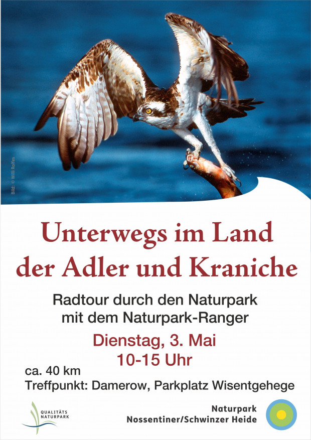 Radtour_Adler und Kraniche