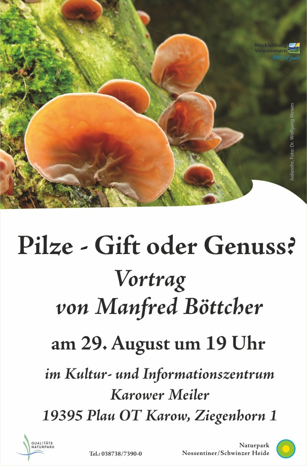 Vortrag Pilze