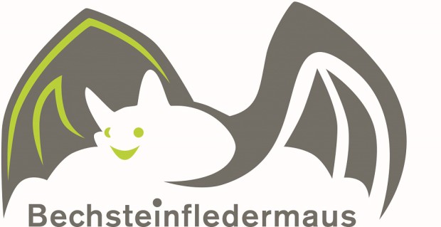 Bechsteinfledermaus