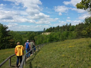 Orchideenführung in den "Toten Tälern" bei Balgstädt