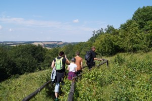 GRÜN durch den #SommerTour Besuch eines Beweidungsprojektes mit Wildpferden und Orchideenwanderung