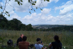GRÜN durch den #SommerTour Besuch eines Beweidungsprojektes mit Wildpferden und Orchideenwanderung