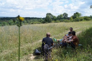 GRÜN durch den #SommerTour Besuch eines Beweidungsprojektes mit Wildpferden und Orchideenwanderung