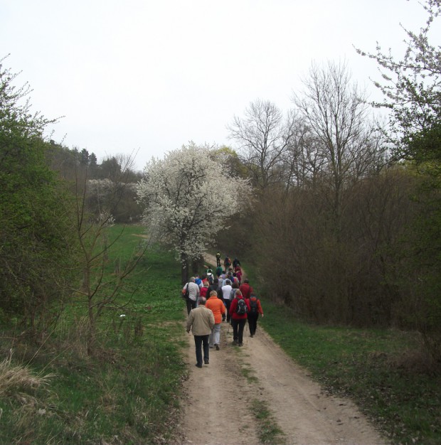Wandergruppe mit Ziel Zscheiplitz