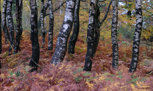Naturparkführer Guido Bloch stellt die Vielzahl an Fotomotiven in der abwechslungsreichen Grenzregion zwischen Sauerland und Bergischen Land vor (Foto: Guido Bloch)