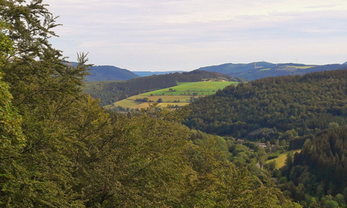 Herrliche Aussichten eröffnen sich der Wandergruppe (Foto: Alexandra Busch)