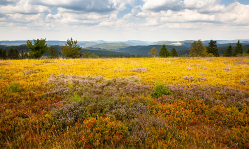 Entspannungsreise Natur innen Entspannungsreise Natur innen 17. September: Tief hinab und hoch hinauf