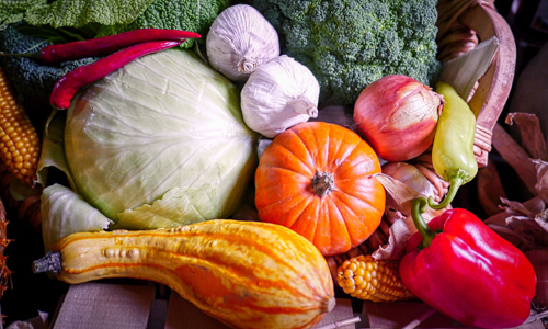 Stellt in den Fokus, was die Region zu bieten hat: Der Tag der Regionen 2020 (Foto: pixabay)