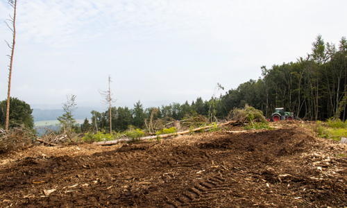 Die Projektfläche wird für die Pflanzungen vorbereitet (Foto: Firma Metten/Verena Teipel)