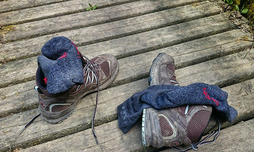 Foto Innenteil Wanderschuhe Foto Innenteil Wanderschuhe 22.06.2017: Historische und naturkundliche Wanderung auf dem Hohenseelbachskopf