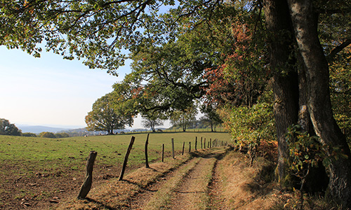 Foto Innenteil foto Foto Innenteil foto Fotowettbewerb So schön ist unsere Heimat