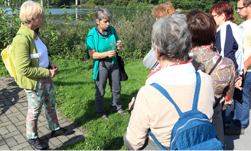 Für Birgit Stübe zertifizierte NaturLandschaftsführerin und Heilplanzenpädagogin geht die Liebe zu den Kräutern durch den Magen Für Birgit Stübe zertifizierte NaturLandschaftsführerin und Heilplanzenpädagogin geht die Liebe zu den Kräutern durch den Magen Mit den Naturparkführern die Natur erkunden