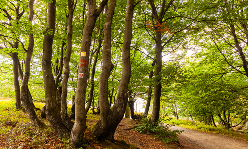 Durch idyllische Täler und hoch hinauf auf den Kahlen Asten geht es bei der Wanderung mit Naturparkführer Günter Hauers (Foto: Tourismus NRW e.V.)
