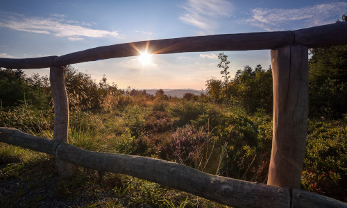 Freut euch auf ein buntes Rahmenprogramm anläßlich des 8. Hochheidetages (Foto: Ferienwelt Winterberg)