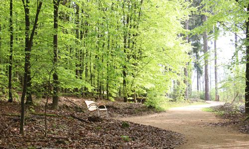 Impessionen Naturerlebnisweg innen Impessionen Naturerlebnisweg innen Fernblick und Naturerlebnis für Alle der besondere Naturerlebnispfad