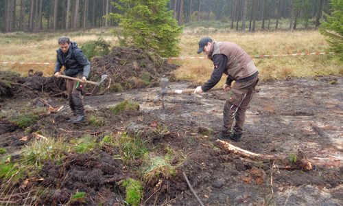 Innenteil Galmeigrasnelke Innenteil Galmeigrasnelke 4. Starterprojekt des Naturparks Sauerland Rothaargebirge