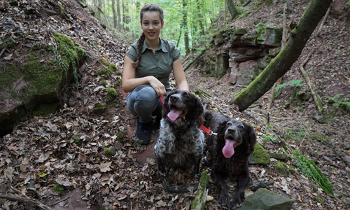 Janika innen neu Janika innen neu Praktikum beim Naturpark?!