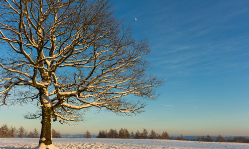 Naturparkführerin Anita Jung lädt euch zu der Raunacht im Kulturgut Schrabben Hof ein (Foto: Naturpark Sauerland Rothaargebirge e.V.)