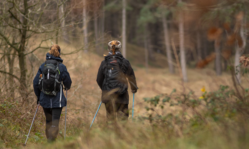 Sportlich unterwegs bei der Naturparkführung mit Naturparkführer Axel Peter Müller (Foto: Pixabay)