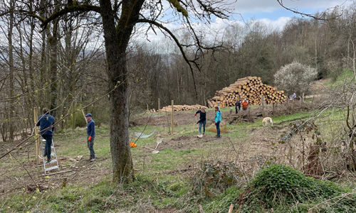 Neuenrade innen 1 Neuenrade innen 1 Zukünftige Naturpark Schule pflanzt Bäume für Streuobstwiese