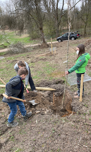 Am Ostersamstag traf sich eine kleine Gruppe, um auf dem Schulgelände die ersten 15 Bäume für eine Streuobstwiese zu pflanzen (Foto: Naturpark Sauerland Rothaargebirge e.V.)