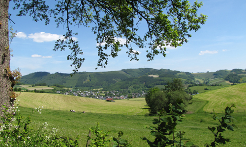 Mit Naturparkführer Johannes Quinkert rund um Wenholthausen (Foto: Naturpark Sauerland Rothaargebirge e.V.)