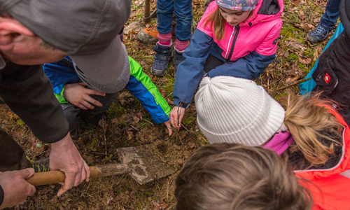 Und nun war es endlich soweit und die jungen Eichen konnten im Wald ausgebracht werden (Foto: Naturpark Sauerland Rothaargebirge e.V.)