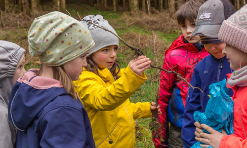 Mit Stolz betrachten die Schüler:innen die selbst gezogenen kleinen Eichenpflanzen (Foto: Naturpark Sauerland Rothaargebirge e.V.)