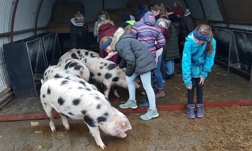 Bio-Unterricht in der Praxis durften die Fünftklässler des Städtischen Gymnasiums Bad Laasphe erleben (Foto: Naturpark Sauerland Rothaargebirge e.V.)
