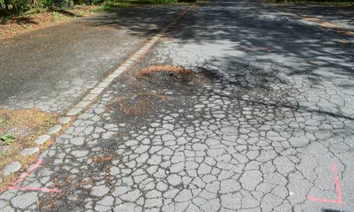 Verkehrssicherung 2 Verkehrssicherung 2 Naturparkanlagen unter die Lupe genommen