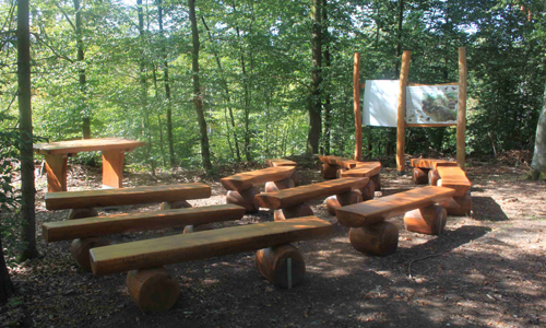 Herzstück des neuen Waldaktivpfades: Das Waldklassenzimmer (Foto: Matthias Kretschmer)