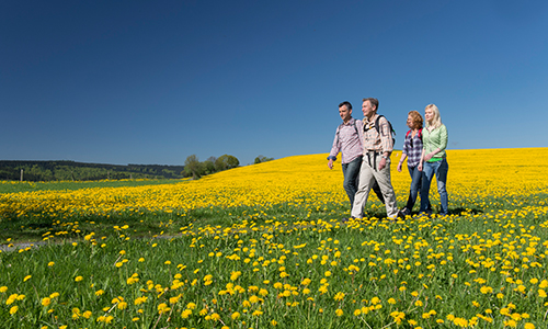Wandergruppe im Frühling Wandergruppe im Frühling 20. 27. April 2016: Frühlingswanderwoche der Sauerländer Wandergasthöfe
