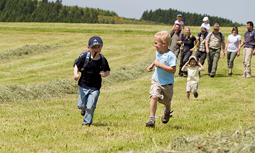 Auch Kinder können bei den angebotenen Wanderungen am Rangerwandertag viel entdecken (Foto: Sauerland-Tourismus e.V.)