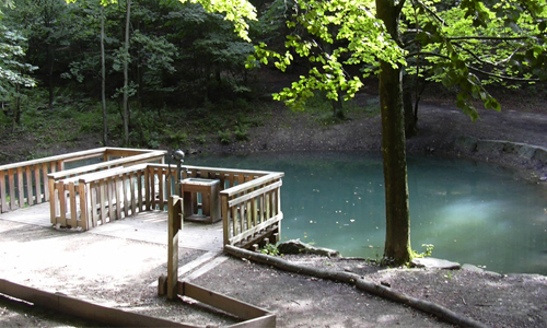Weiher am Waldweg Grenzenlos innen Weiher am Waldweg Grenzenlos innen Waldweg Grenzenlos
