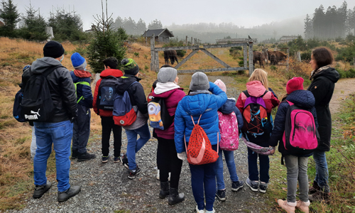 Gemeinsam mit der wissenschaftlichen Koordinatorin Kaja Heising ging die vierte Klasse der Grundschule aus Kreuztal auf einen erlebnisreichen Rundgang (Foto: Naturpark Sauerland Rothaargebirge e.V.)