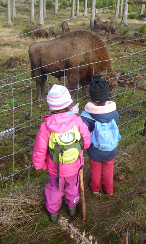 Unvergessliche Eindrücke aus der Wisent-Wildnis nahmen die Kinder mit nach Hause (Foto: Naturpark Sauerland Rothaargebirge e.V.)