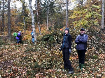 Landschaftspflegeaktion 500x300 Landschaftspflegeaktion 500x300 Waldweide im Herrenberger Stadtwald