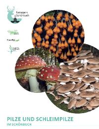 Pilzbroschüre groß Neue Broschüre Pilze und Schleimpilze im Schönbuch