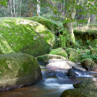 Naturschutzgebiet Doost