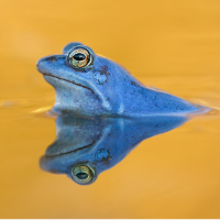 Fotowettbewerb 2019 in Naturparken und Geoparks