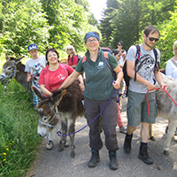 Esel-Trekking-Tour