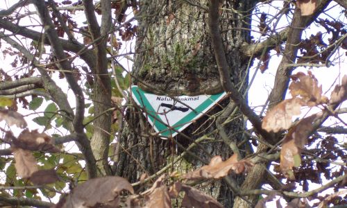 © Naturpark SFW Archiv