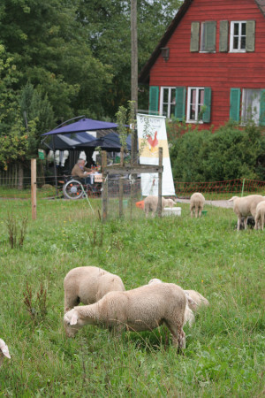 Copyright: Naturpark Schwäbisch-Fränkischer Wald