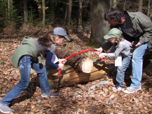 Copyright: Naturpark Schwäbisch-Fränkischer Wald