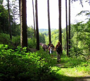 Unterwegs mit die Naturparkführer