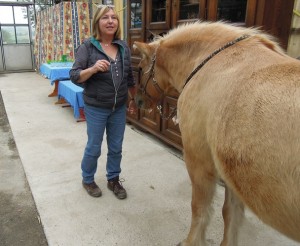 ...und dann steht plötzlich ein Pferd bei Beate Siegel im "Klassenzimmer"!