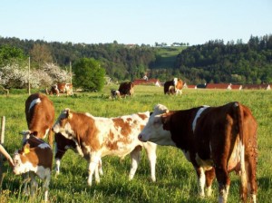 Geführte Wanderung mit Naturparkführerin Ruth Bohn
