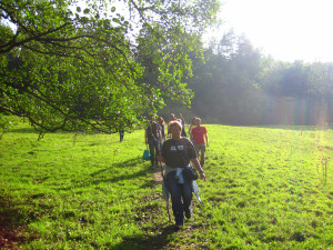 Auf Kräutersuche im Naturpark